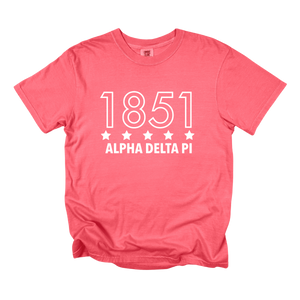ADPI- Outlined Year Tee
