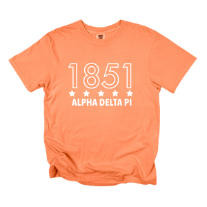 ADPI- Outlined Year Tee