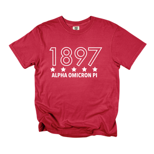 AOII- Outlined Year Tee