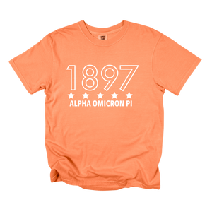 AOII- Outlined Year Tee