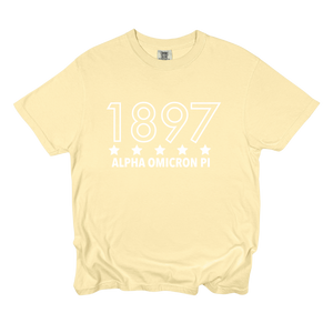 AOII- Outlined Year Tee