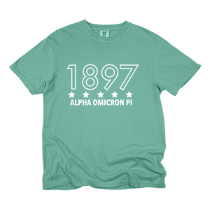 AOII- Outlined Year Tee