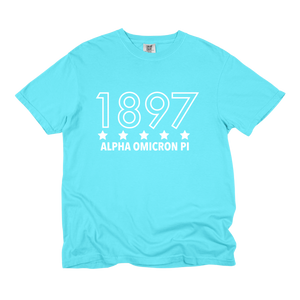 AOII- Outlined Year Tee