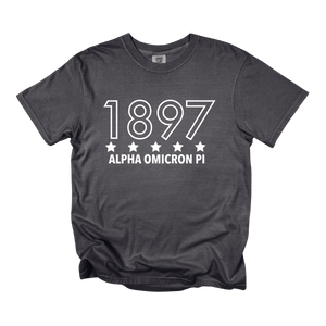 AOII- Outlined Year Tee