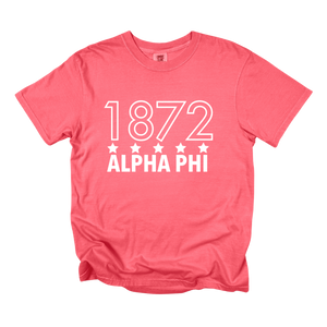 APHI- Outlined Year Tee