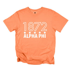 APHI- Outlined Year Tee