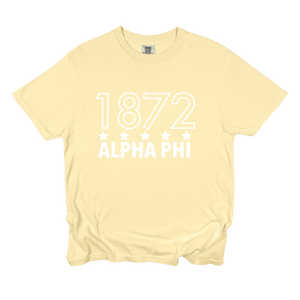 APHI- Outlined Year Tee