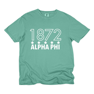 APHI- Outlined Year Tee