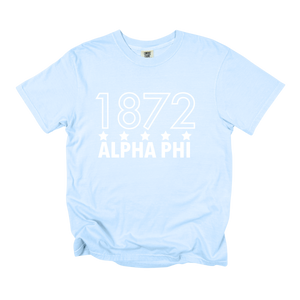 APHI- Outlined Year Tee