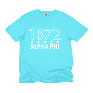 APHI- Outlined Year Tee