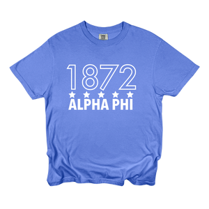 APHI- Outlined Year Tee