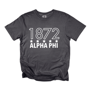 APHI- Outlined Year Tee