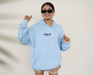 Smile Back Sorority Hooded Sweatshirt Light Blue